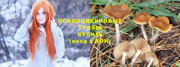 бошки Балахна